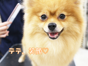 ２年生に向けて！先生の試技会♪②